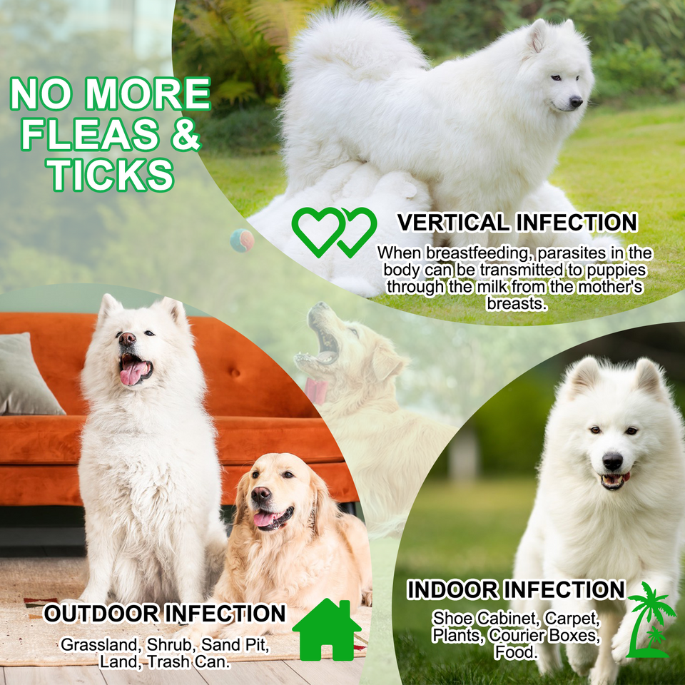 FLEA AND TICK PREVENTION CHEWS