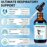 Kennel Cough Treatment for Dogs