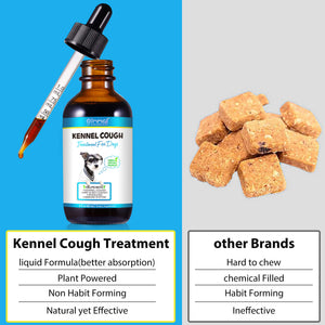 Kennel Cough Treatment for Dogs
