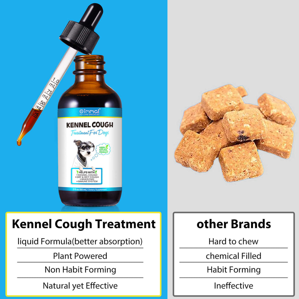 Kennel Cough Treatment for Dogs