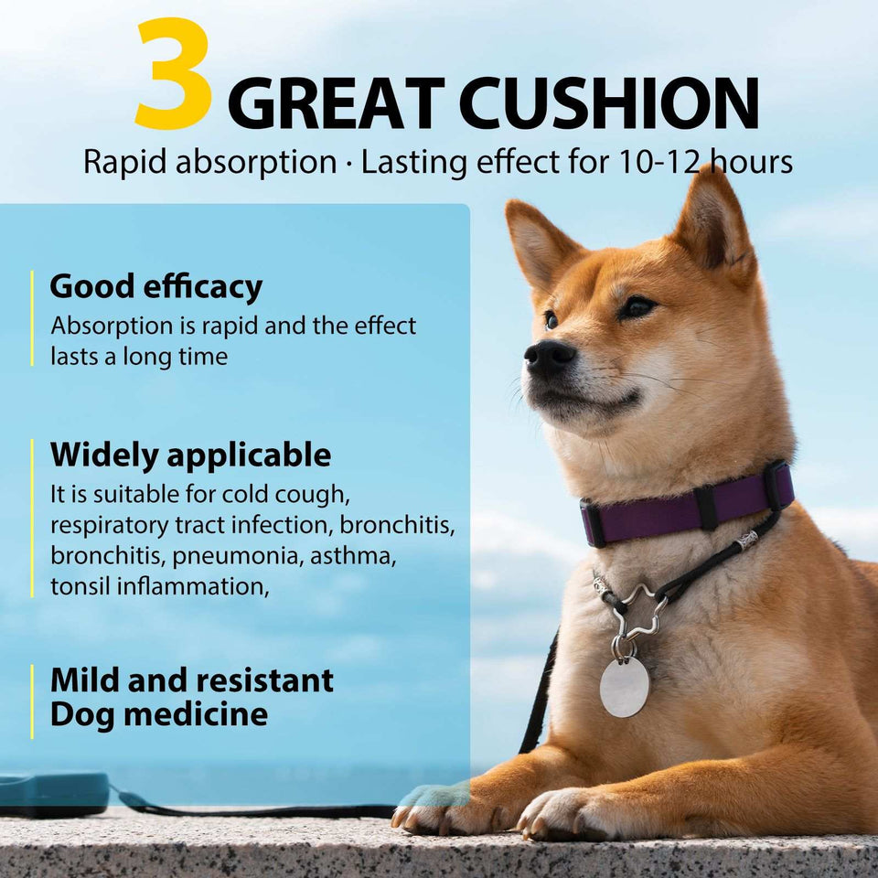 Kennel Cough Treatment for Dogs