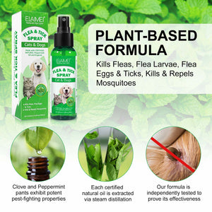 FLEA AND TICK SPRAY