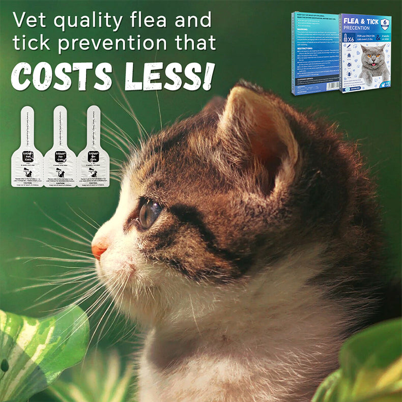 Ultimate Flea & Tick Spot-On solution for Cats (8+ Weeks, Over 1.5 lbs) WITH FREE 11 IN 1 MADRE CACAO SOAP