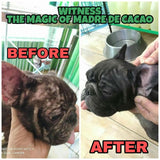 10 in 1 Madre de Cacao Shampoo