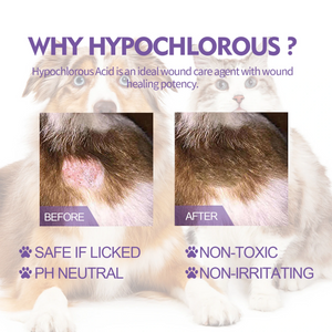 PET SKIN CARE SPRAY "ANTI ITCHY"