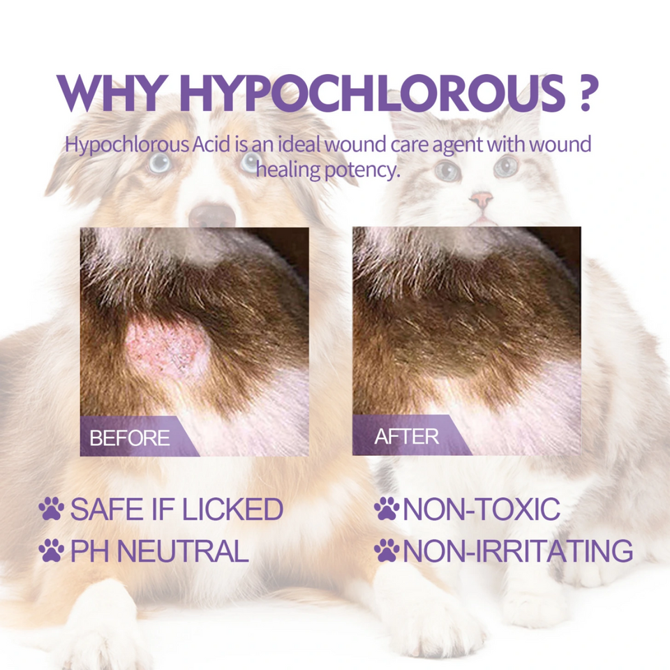 PET SKIN CARE SPRAY "ANTI ITCHY"