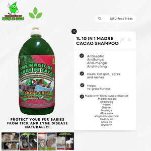 10 IN 1 THE MAGIC OF MADRE DE CACAO SHAMPOO
