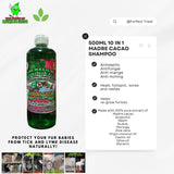 500ml 10 in 1 MADRE DE CACAO SHAMPOO