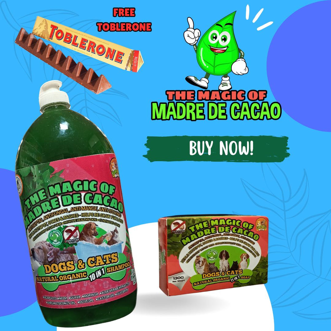 COMBO PROMO! 1LITER 10 IN 1 MADRE DE CACAO SHAMPOO PLUS SOAP WITH FREE TOBLERONE