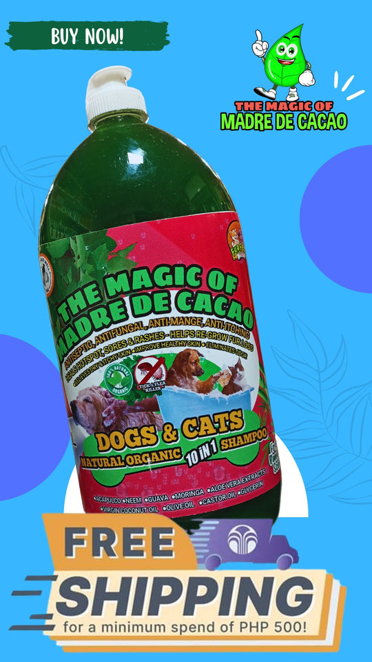 10 IN 1 THE MAGIC OF MADRE DE CACAO SHAMPOO