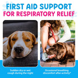 KENNEL COUGH TREATMENT FOR DOGS WORAFY