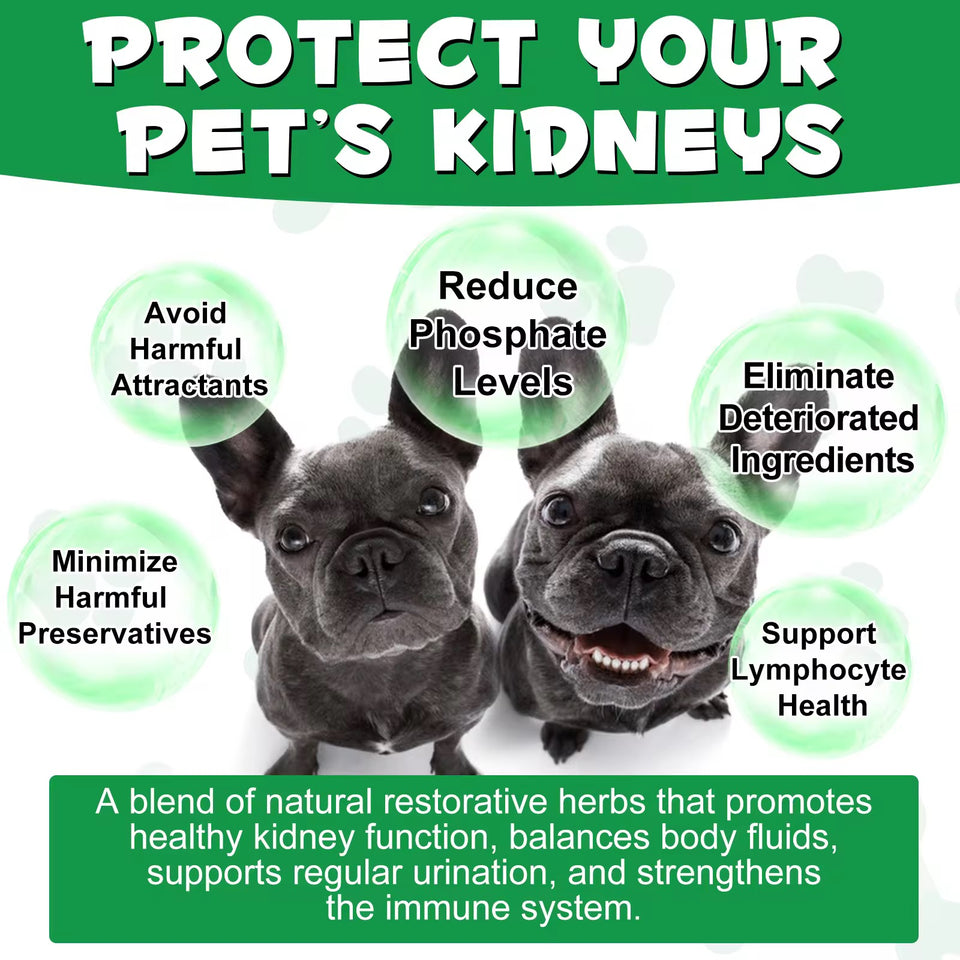 KIDNEY SUPPORT TREATMENT FOR DOGS
