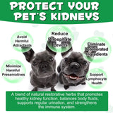 KIDNEY SUPPORT TREATMENT FOR DOGS
