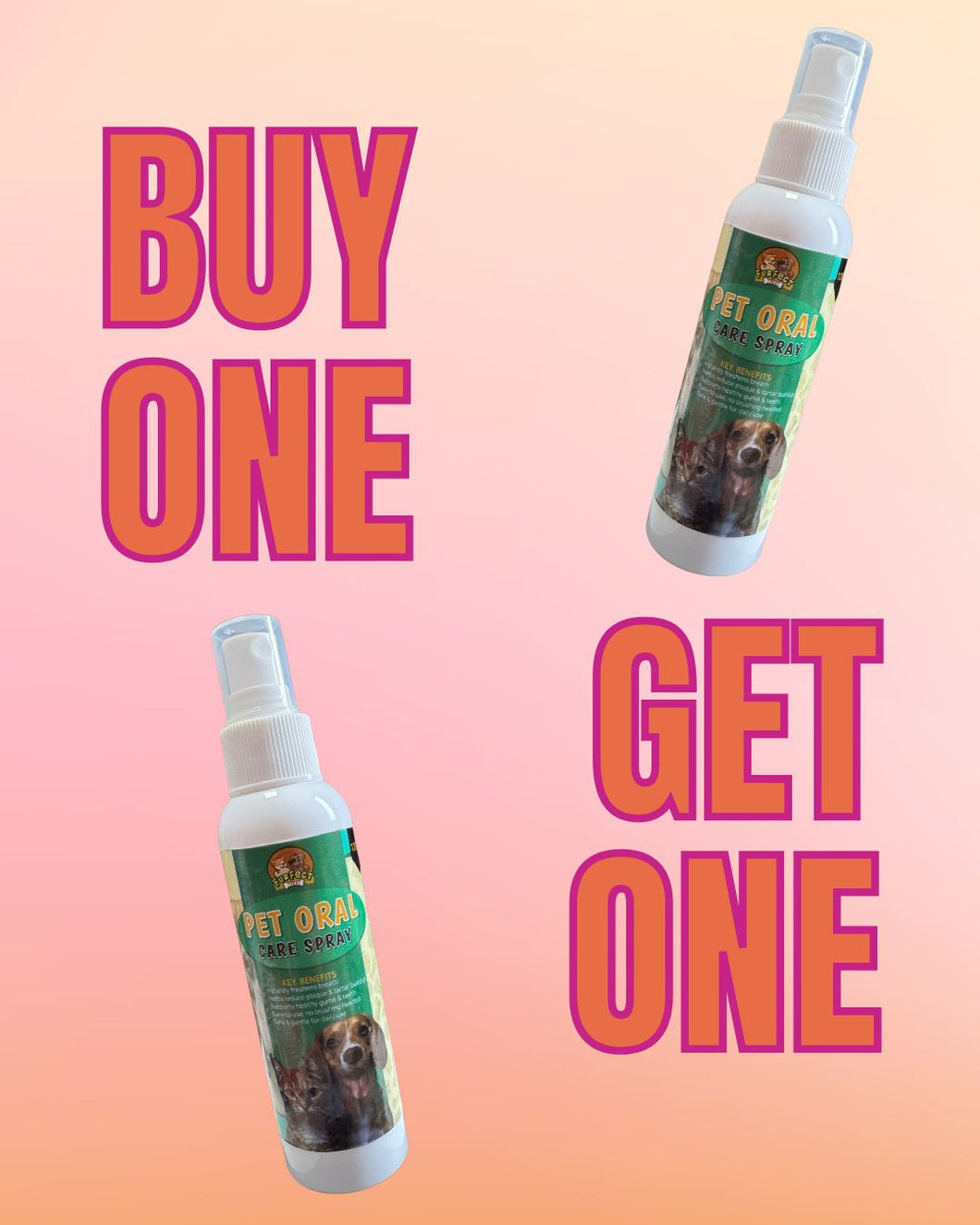 BUY 1 TAKE 1 PET ORAL CARE SPRAY 120ML