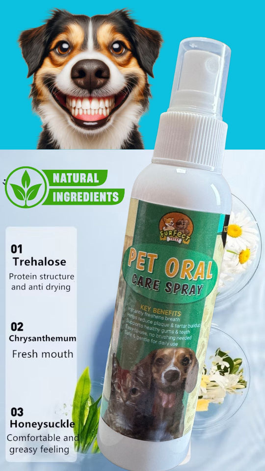 BUY 1 TAKE 1 PET ORAL CARE SPRAY 120ML