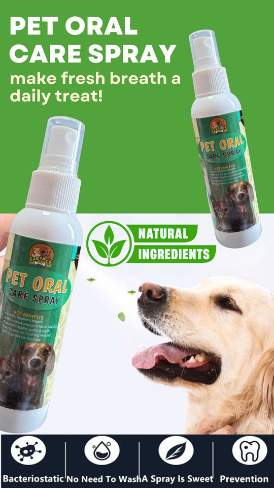 BUY 1 TAKE 1 PET ORAL CARE SPRAY 120ML