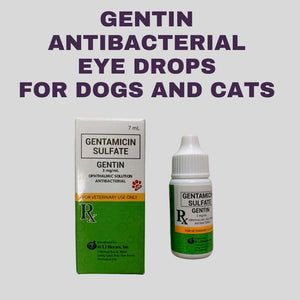 GENTAMICIN