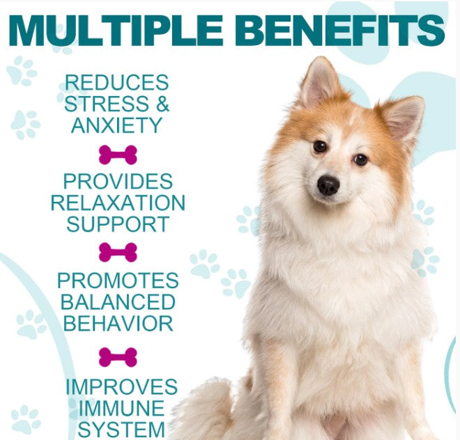 HEMP CALMING CHEWS FOR DOGS
