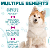 HEMP CALMING CHEWS FOR DOGS