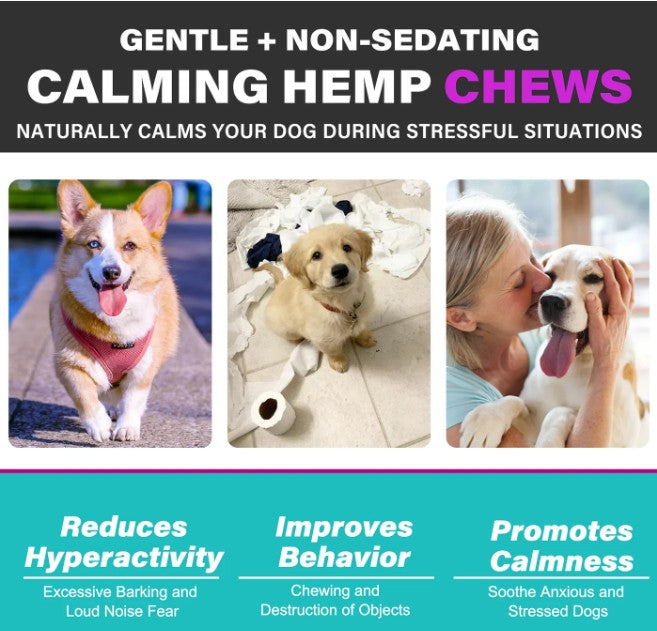 HEMP CALMING CHEWS FOR DOGS