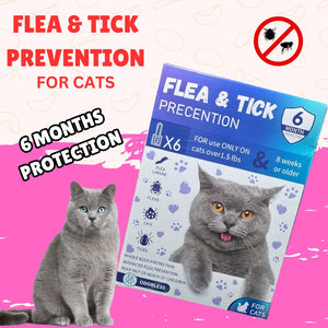 Ultimate Flea & Tick Spot-On solution for Cats (8+ Weeks, Over 1.5 lbs) WITH FREE 11 IN 1 MADRE CACAO SOAP