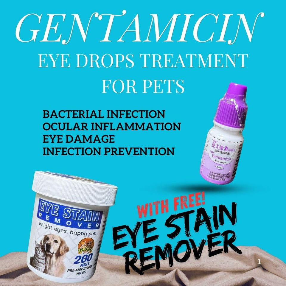 Gentamicin Ophthalmic Solution with FREE Eye Stain Remover Wipes