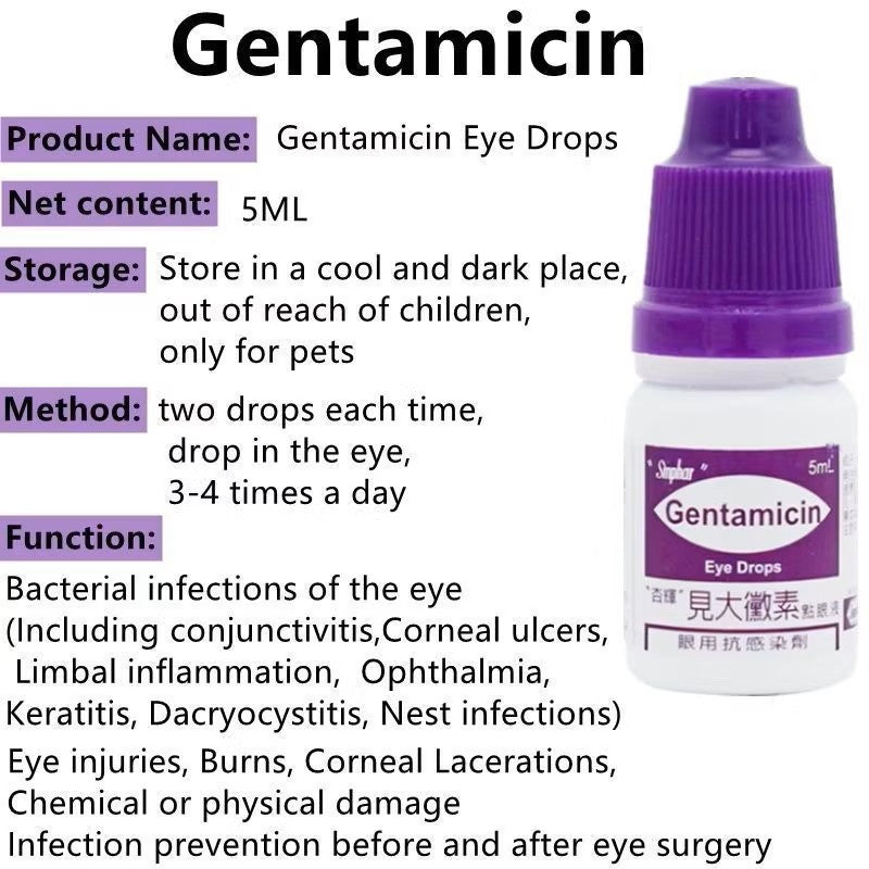 Gentamicin Ophthalmic Solution with FREE Eye Stain Remover Wipes