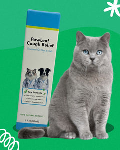 Paw Leaf Cough Relief For Dogs and Cats