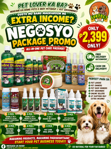 NEGOSYO PACKAGE PROMO
