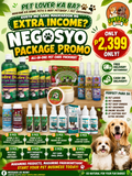 NEGOSYO PACKAGE PROMO