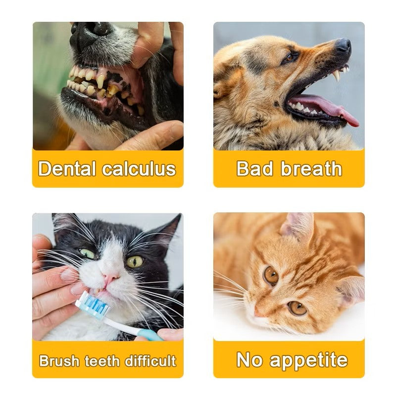 PET ORAL CLEANING FINGER WIPES